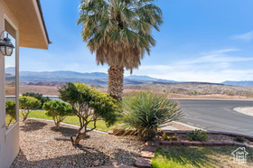Photo 4 for 3523 S Desert Hills Dr