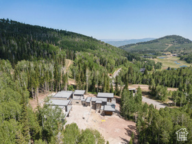 Photo 4 for 314 White Pine Canyon Rd