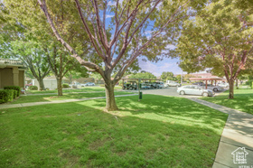 Photo 3 for 441 E Sunland Dr #25