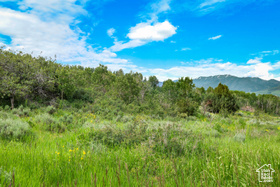 Green Canyon Rd MLS #2066133