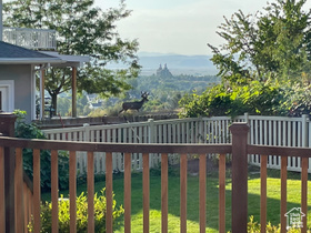 Photo 3 for 243 Eastridge