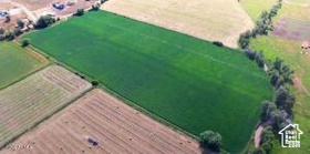 565 E Main Canyon Rd MLS #2068159