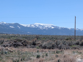 11799  Cove Creek Rd MLS #2068767