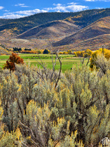 4400 E Center Creek Rd MLS #2070719