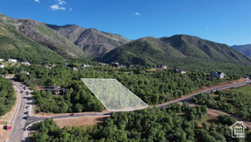 1020  Bear Hollow Dr MLS #2071725