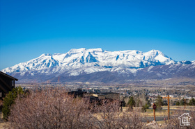 1344 N Lower Lookout Knoll Ct MLS #2072915