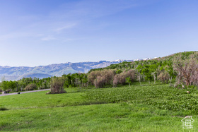 1509  Preserve Dr MLS #2074958