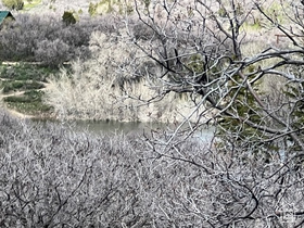 9393  Deer Creek Dr MLS #2075522