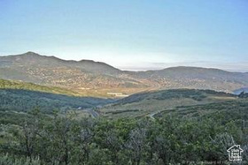 1900 W Red Hawk Trl MLS #2075683