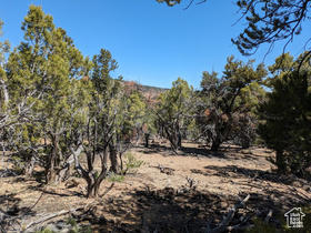 S 39300 W MLS #2076435