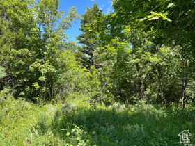 1320 S Sculpin Loop MLS #2076824