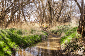 Photo 5 for 3893 E Center Creek Rd
