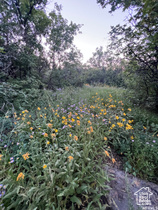 58  Juniper Dr MLS #2079983