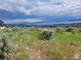 441 W Starflower Way MLS #2080212