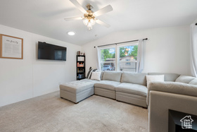 Photo 4 for 54 Cottonwood Ln