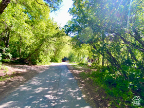 Kellys Dr MLS #2081285