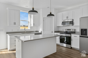 Photo 4 for 251 W 1160 North #23