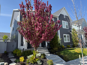 Photo 4 for 5346 W Canary Grass Way