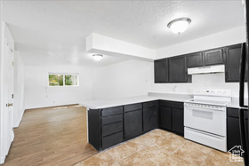 Photo 6 for 218 E Julie Anna Dr