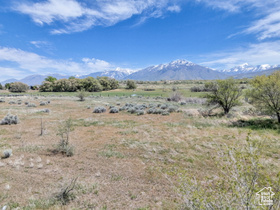 1463 W 14600 S MLS #2082470