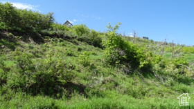 1775 S Beaver Bench Rd MLS #2083208