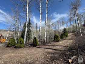 Photo 4 for 10737 E Tanglewood Dr #630