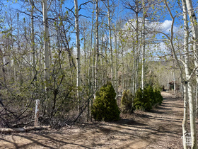 Photo 5 for 10737 E Tanglewood Dr #630