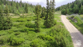 5041  Cougar Ln MLS #2083917