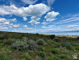 427 W Bluegrass Way MLS #2084075