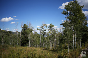 2481  Forest Meadow Rd MLS #2084674