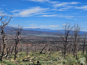 Address Not Available MLS #2084976