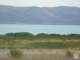 3137  Bunch Grass Dr MLS #2085877