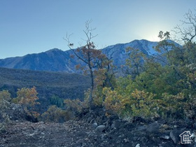 10 E Spring Mountain Dr MLS #2085956