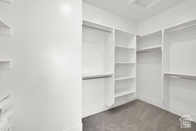 Photo 6 for 76 E Springs Ln