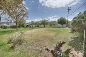 Photo 6 for 260 N 100 East