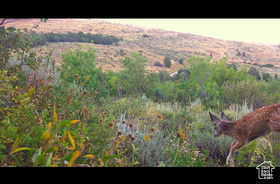 1727 N Rendezvous Run MLS #2086356