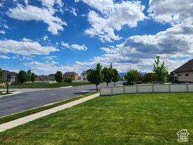 Photo 5 for 11987 N Cyprus Dr