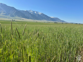 Address Not Available MLS #2086844