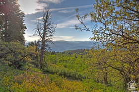 1986 S Pine Meadow Dr MLS #2087154