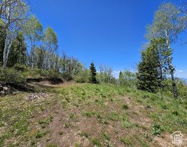 27  Pine Ridge Rd MLS #2088064