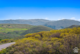 4085  Aspen Camp Loop MLS #2088153