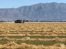 10000 W 10400 N MLS #2088451