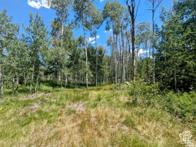 10579 E Fir Run Dr MLS #2088813