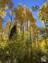 4410  Fawn Way MLS #2089583