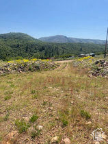 13008 E Pine Rd MLS #2090638