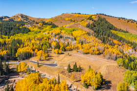 325  White Pine Canyon Rd MLS #2090753