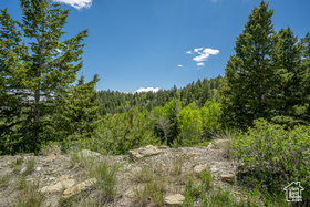 Address Not Available MLS #2091085