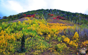 Middle Fork  / Pine Canyon Rd Rd MLS #2092089