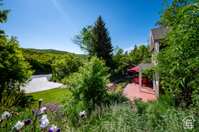 Photo 4 for 1155 N Pinecrest Canyon Rd