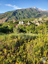 14849 S Saddle Leaf Ct MLS #2092739